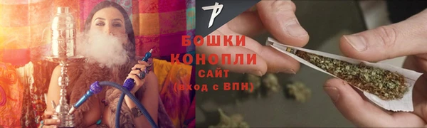 соль ск Няндома