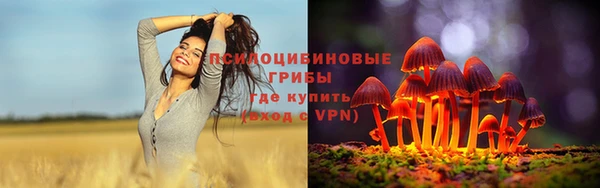 соль ск Няндома
