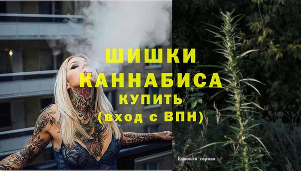 гидропоника Нягань