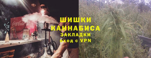 соль ск Няндома