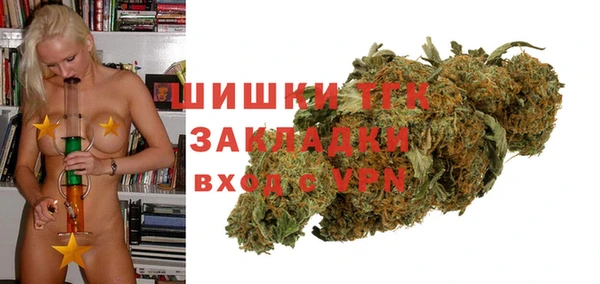 соль ск Няндома