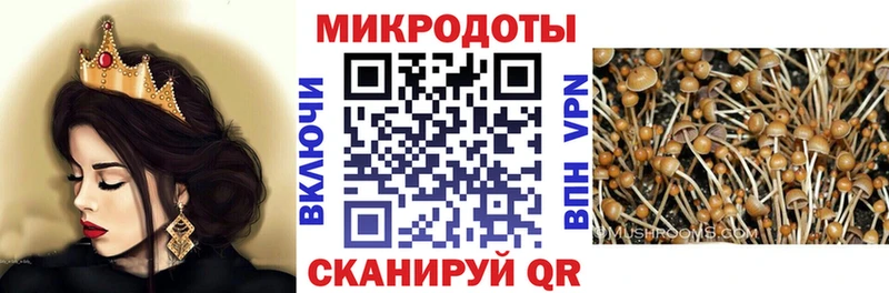 Псилоцибиновые грибы Magic Shrooms  Сергач 
